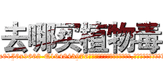 去哪买植物毒 (去哪买植物毒【电.话186x0156x9662-Q194843976林氏药业】我们做的是长期生意,靠的是老客户长期支持
参考消息网2月20日报道 韩媒称，“剩女多、离婚率高的城市，房价一定会上涨。”这是中国经济学家金岩石2016年12月参加在上海举行的房地产相关论坛时说的话。
)