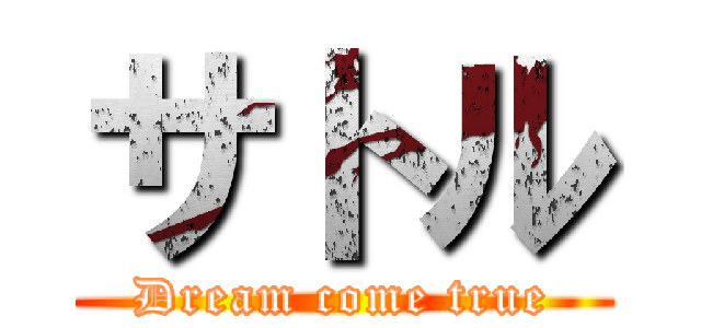 サトル (Dream come true)