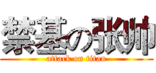 禁基の张帅 (attack on titan)