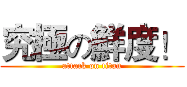 究極の鮮度！ (attack on titan)