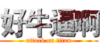 好牛逼啊 (attack on titan)