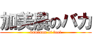 加美農のバカ (kaminou of fool)