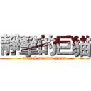 靜擊的巨貓 (attack on rou yuan)