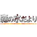 森の水だより (News from water of the forest)