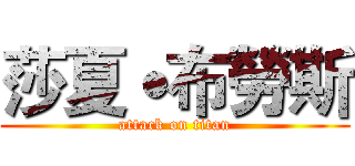 莎夏˙布勞斯 (attack on titan)