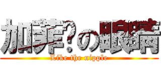 加菲貓の眼睛 (Like the nipple)