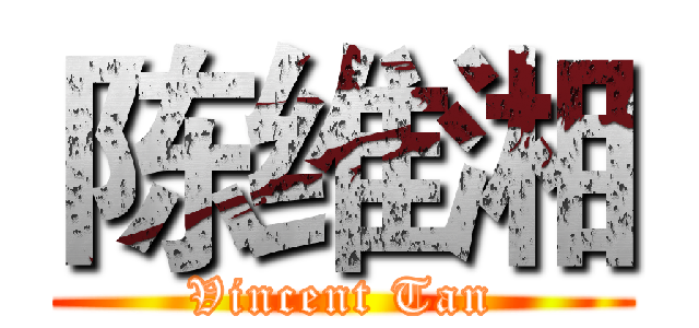 陈维湘 (Vincent Tan)