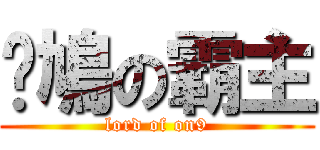 戆鳩の霸主 (lord of on9)