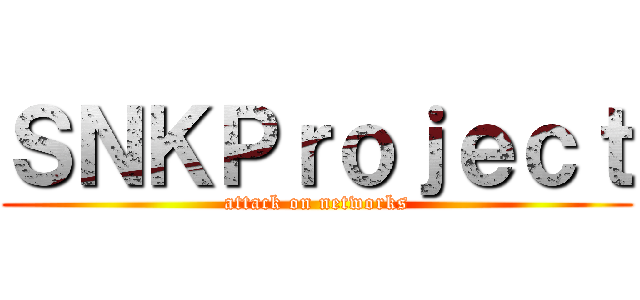 ＳＮＫＰｒｏｊｅｃｔ (attack on networks)