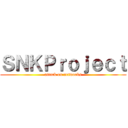 ＳＮＫＰｒｏｊｅｃｔ (attack on networks)