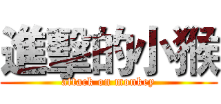 進擊的小猴 (attack on monkey)