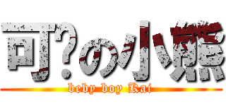 可爱の小熊 (beby boy Kai)