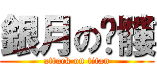 銀月の骷髏 (attack on titan)