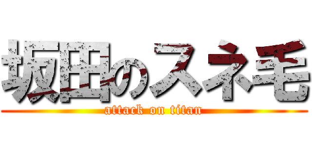 坂田のスネ毛 (attack on titan)