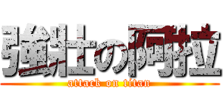 強壯の阿拉 (attack on titan)