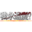 我永遠愛你 (I love you forever)