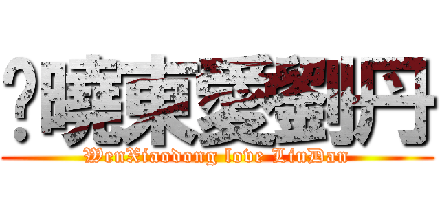 溫曉東愛劉丹 (WenXiaodong love LiuDan)