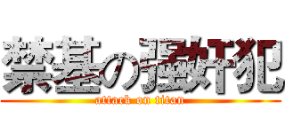 禁基の强奸犯 (attack on titan)