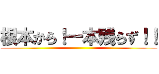根本から！一本残らず！！ ()