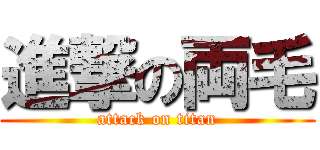 進撃の両毛 (attack on titan)