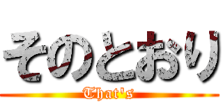 そのとおり (That's)