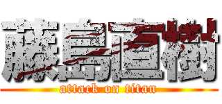 藤島直樹 (attack on titan)