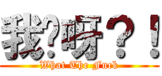 我屌呀？！ (What The Fuck)