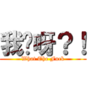 我屌呀？！ (What The Fuck)