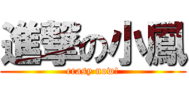 進撃の小鳳 (crasy now!)