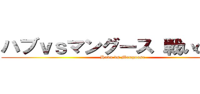 ハブｖｓマングース 戦いの火蓋 (Habu vs Mongoose)