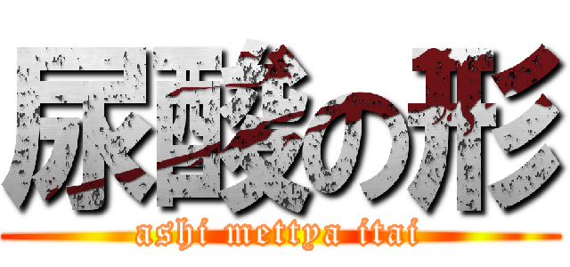 尿酸の形 (ashi mettya itai)