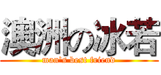 澳洲の冰若 (man's best friend)