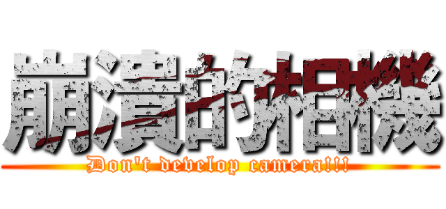 崩潰的相機 (Don't develop camera!!!)