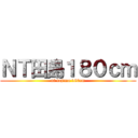 ＮＴ田島１８０ｃｍ (nt tajima 180cm)