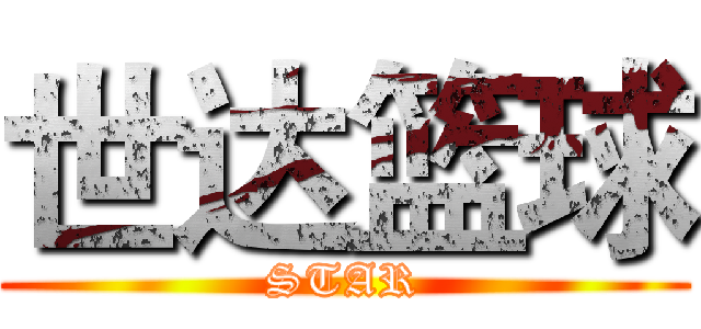 世达篮球 (STAR)