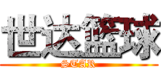 世达篮球 (STAR)