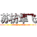 苏枋隼飞 (suo hayato)