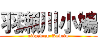 羽瀨川小鳩 (attack on Kobato)