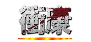 衝康 ()