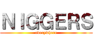 ＮＩＧＧＥＲＳ (everywhere)