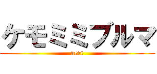 ケモミミブルマ (near)