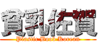 貧乳佐賀 (Plastic Boob Korean)
