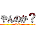 やんのか？ (A.T)