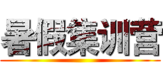 暑假集训营 ()