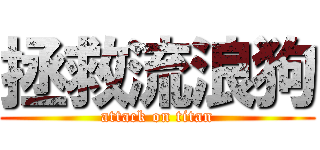 拯救流浪狗 (attack on titan)