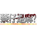 蔡仔是麻糬 (attack on titan)