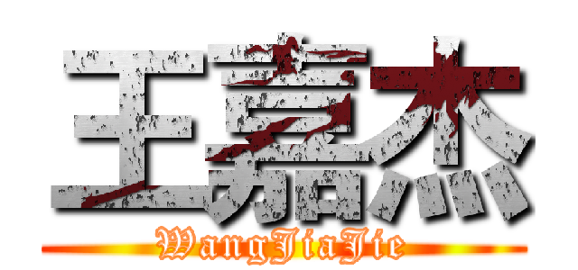 王嘉杰 (WangJiaJie)