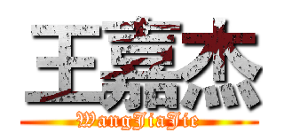 王嘉杰 (WangJiaJie)