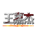 王嘉杰 (WangJiaJie)