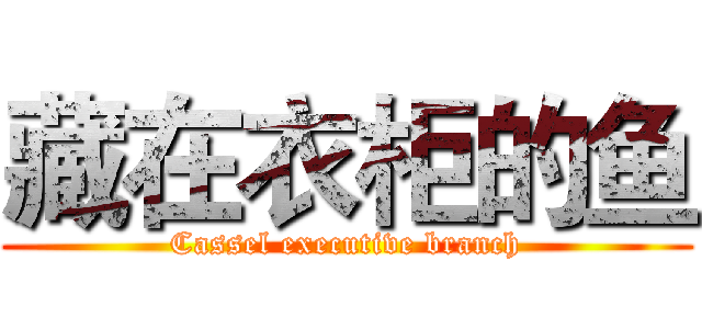 藏在衣柜的鱼 (Cassel executive branch)